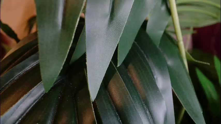 imcarrieberry Live Sex January 30, 2026