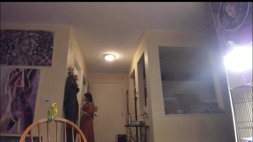 alizezaide Live Sex January 31, 2026