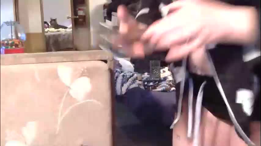 x2kayx2 Live Sex January 31, 2026