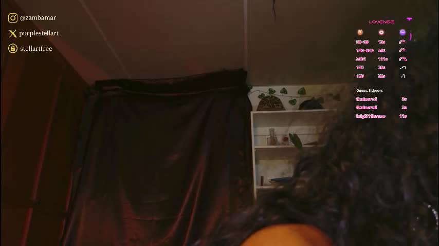 stellart_ Live Sex January 31, 2026