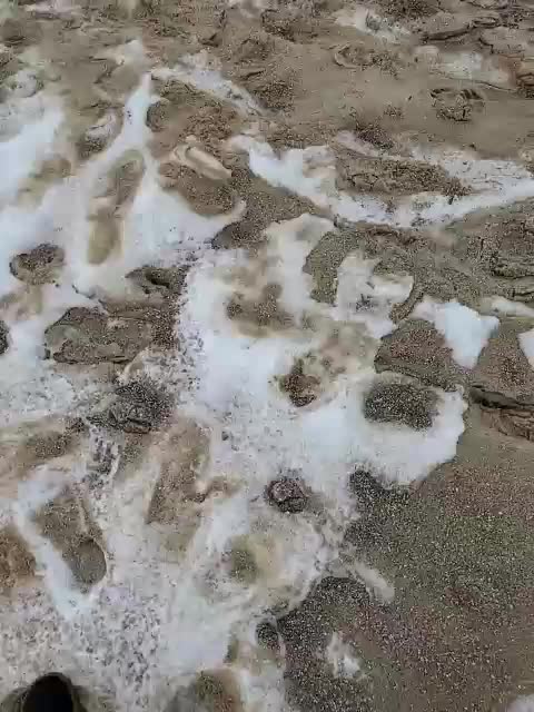 Alex80-201 Live Sex January 31, 2026