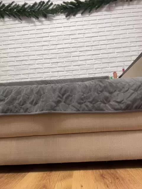 KitFox Live Sex January 31, 2026