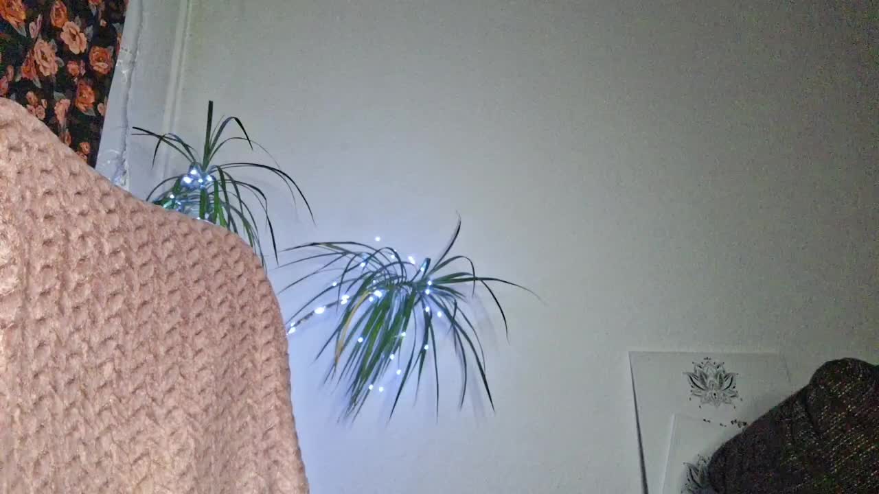 CyndeeWinter Live Sex January 31, 2026