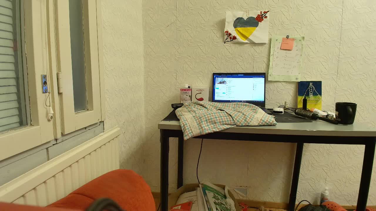 IrinaLitvinova Live Sex January 31, 2026