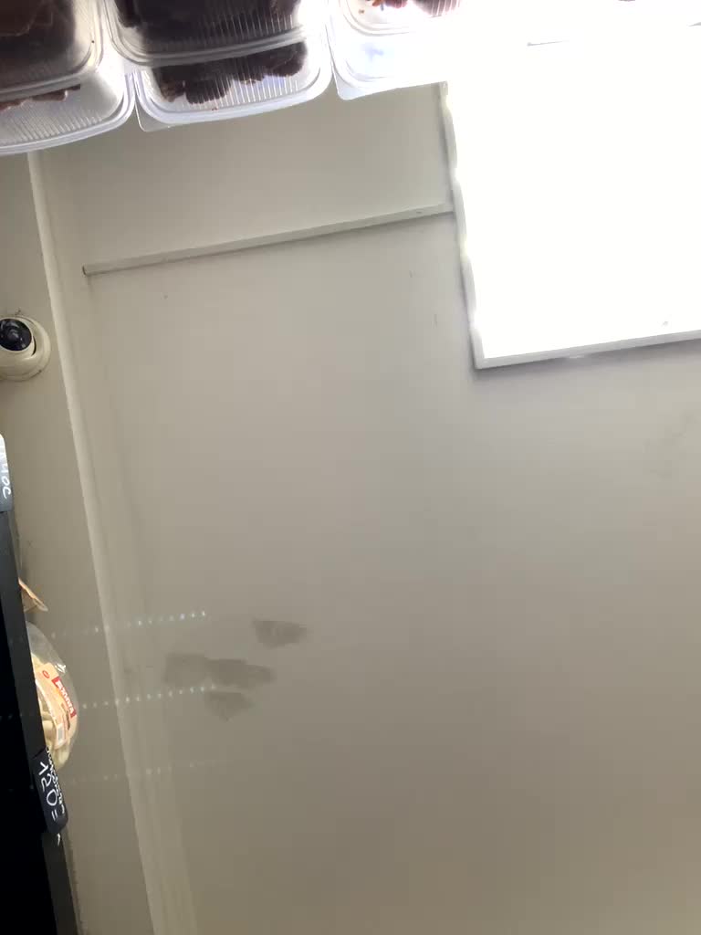 Yummypopka Live Sex January 31, 2026