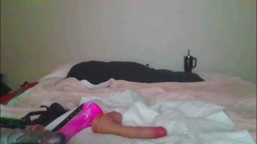 sdbeachfreaks Live Sex January 31, 2026