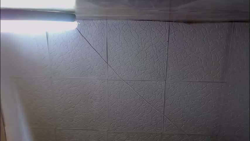 shyredstar Live Sex January 31, 2026