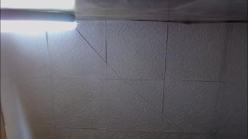 shyredstar Live Sex January 31, 2026