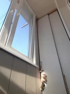 Zlykaa Live Sex February 1, 2026