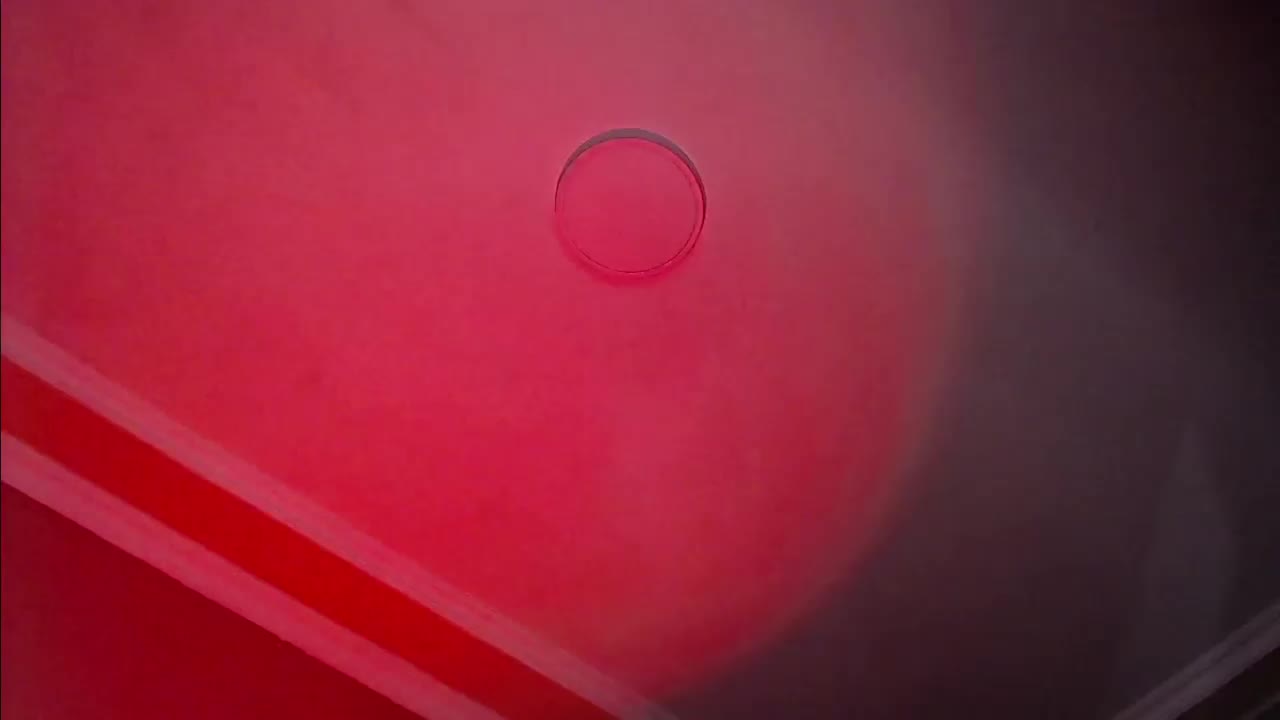 SarinnnaLuv Live Sex February 1, 2026