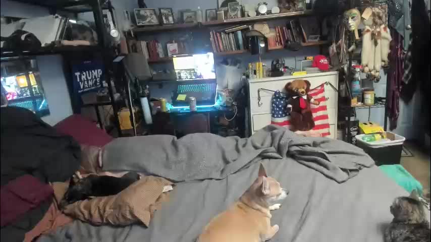 pink_black Live Sex February 1, 2026