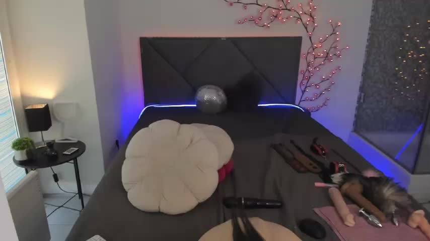 CassieEvans Live Sex February 2, 2026