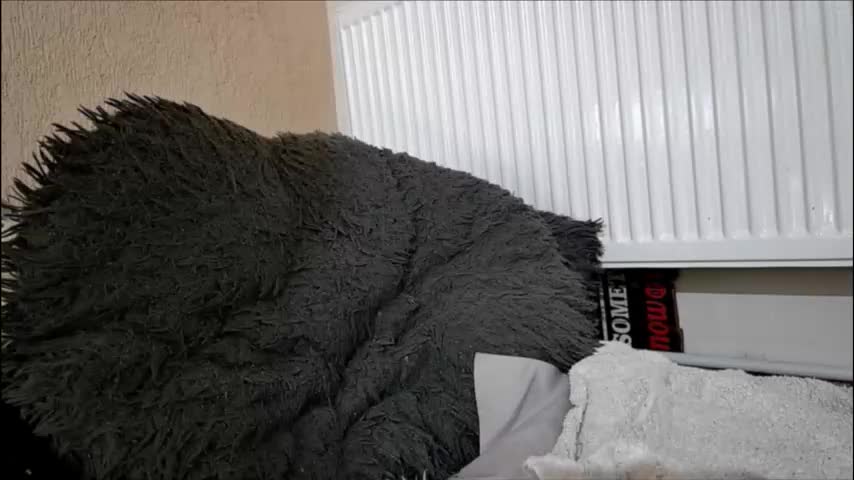 anaworld69 Live Sex February 2, 2026