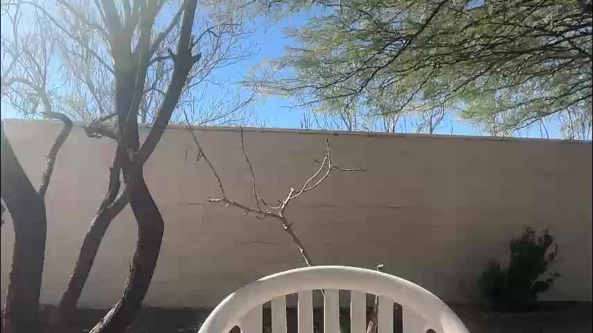 channel022 Live Sex February 2, 2026