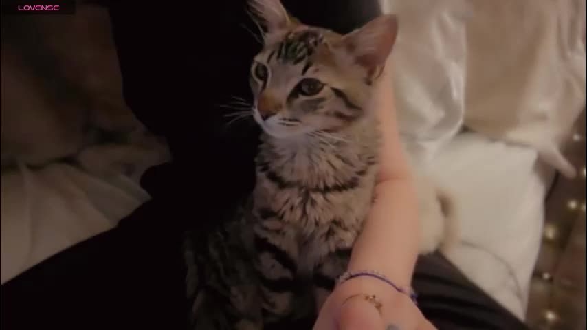 demontriaxx Live Sex February 2, 2026