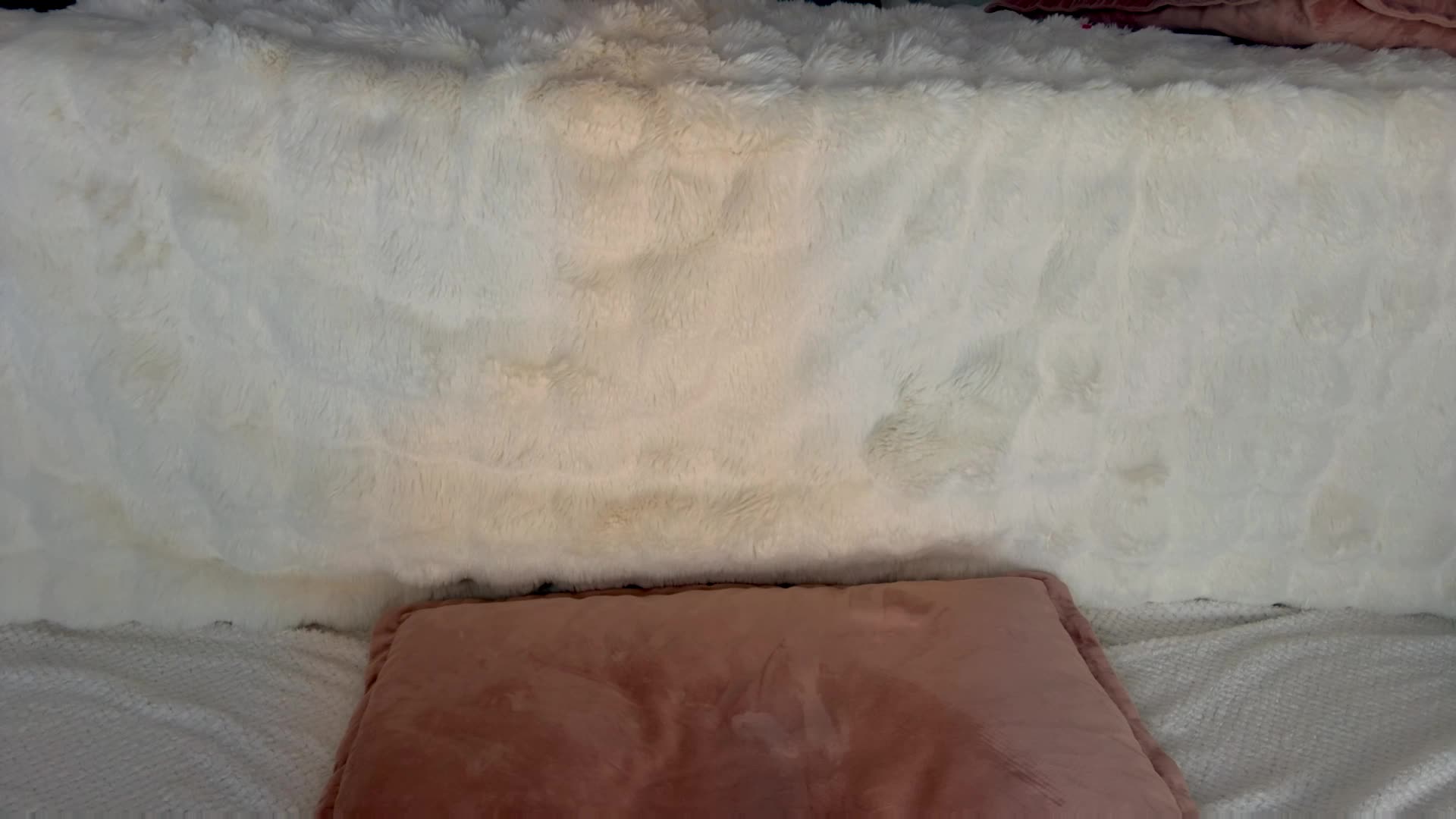 Yana_a Live Sex February 2, 2026