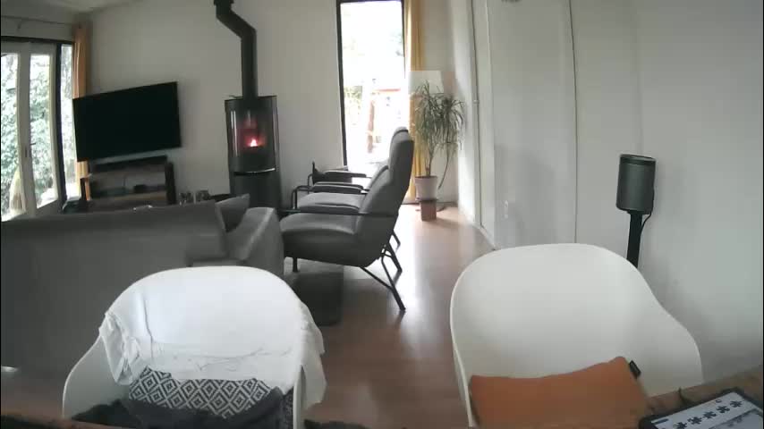 woodwurm Live Sex February 2, 2026