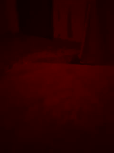 Skripach Live Sex February 2, 2026