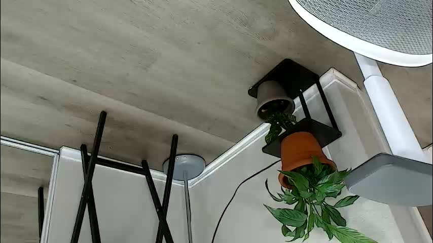 sheilyn_smith Live Sex February 2, 2026