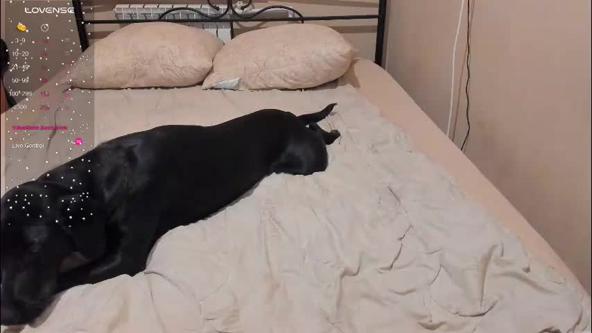 eva_zero Live Sex February 2, 2026