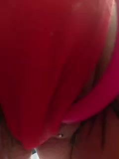 RedFox9595 Live Sex February 3, 2026