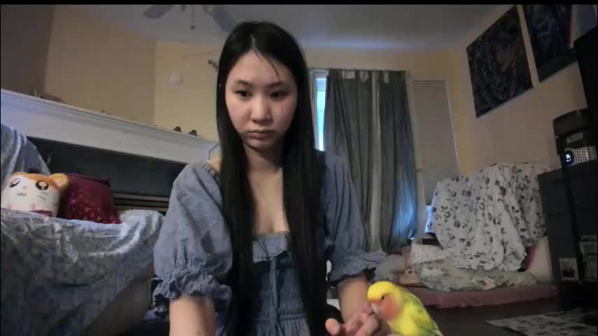 alizezaide Live Sex February 3, 2026