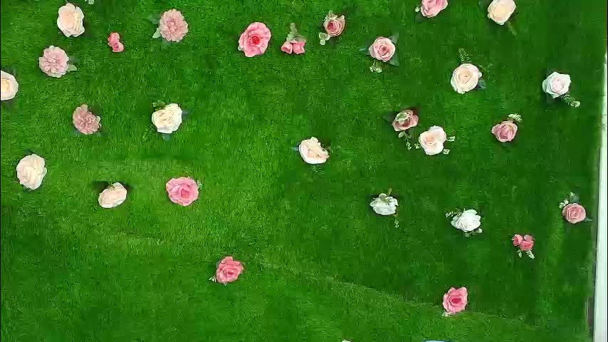 megatitts_ Live Sex February 3, 2026