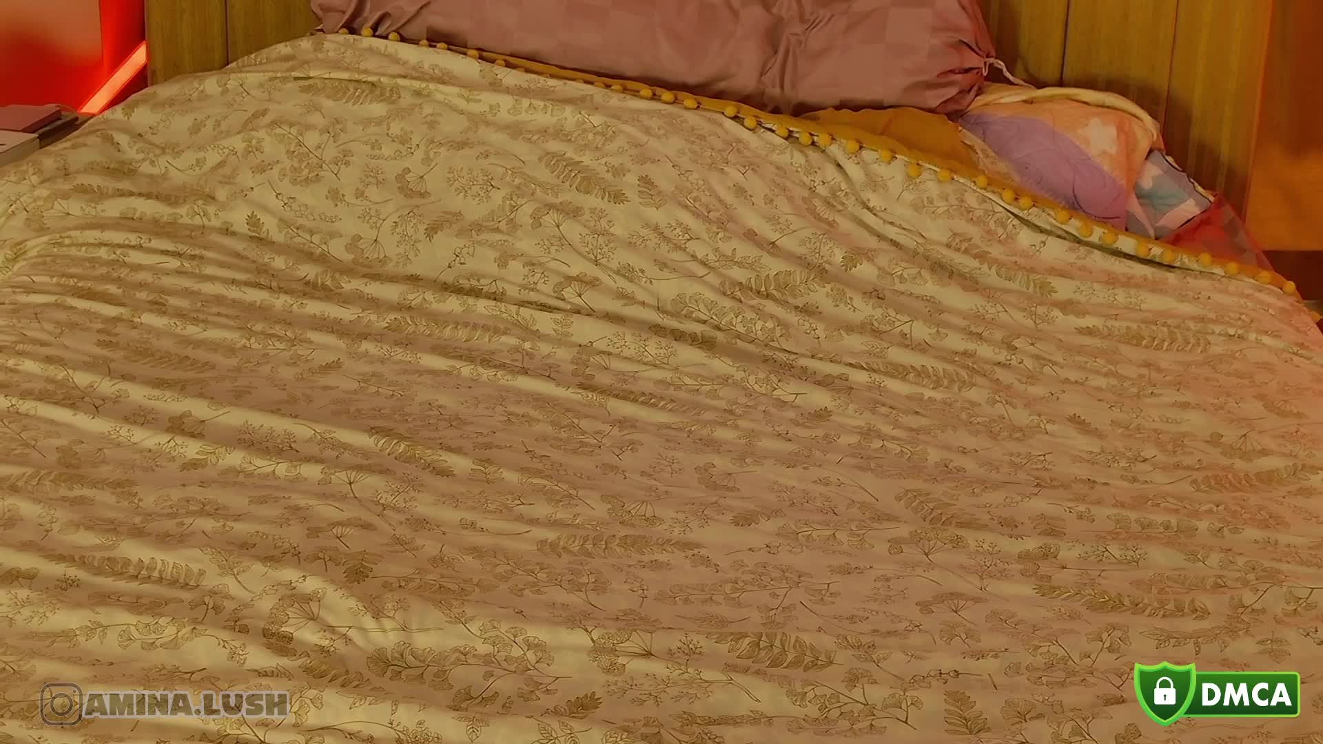 AminaLush Live Sex February 3, 2026