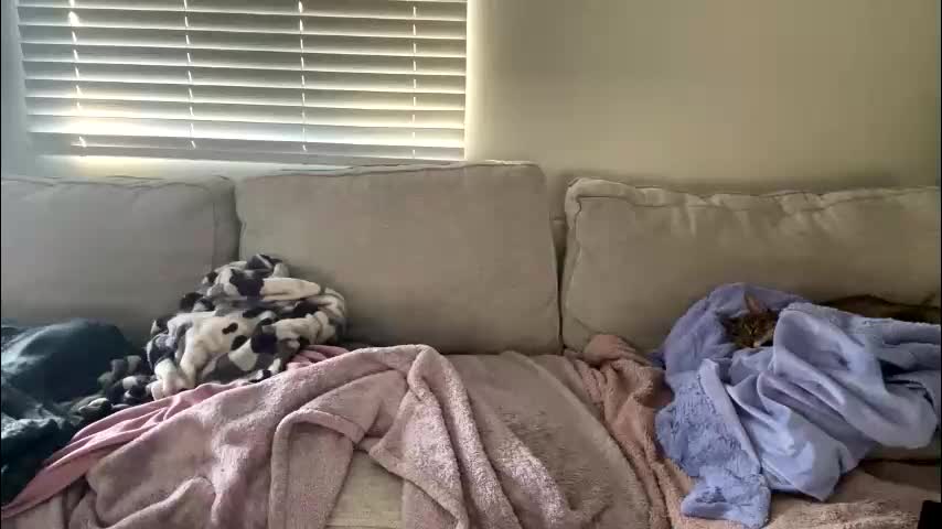 goddessmayvn Live Sex February 3, 2026