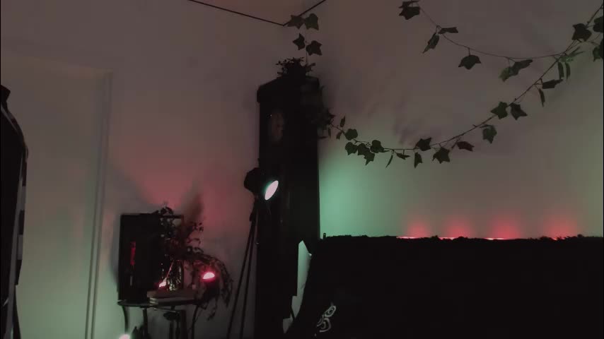 erohaze Live Sex February 3, 2026