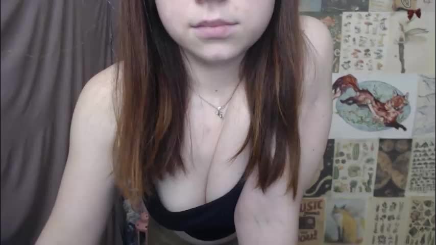 veryveryvery_shy Live Sex February 3, 2026