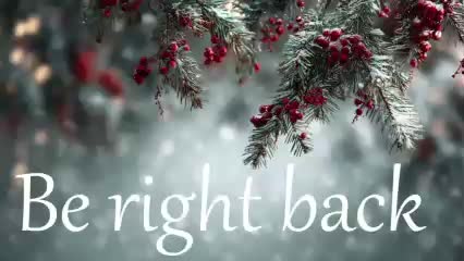 stressygirl Live Sex February 4, 2026