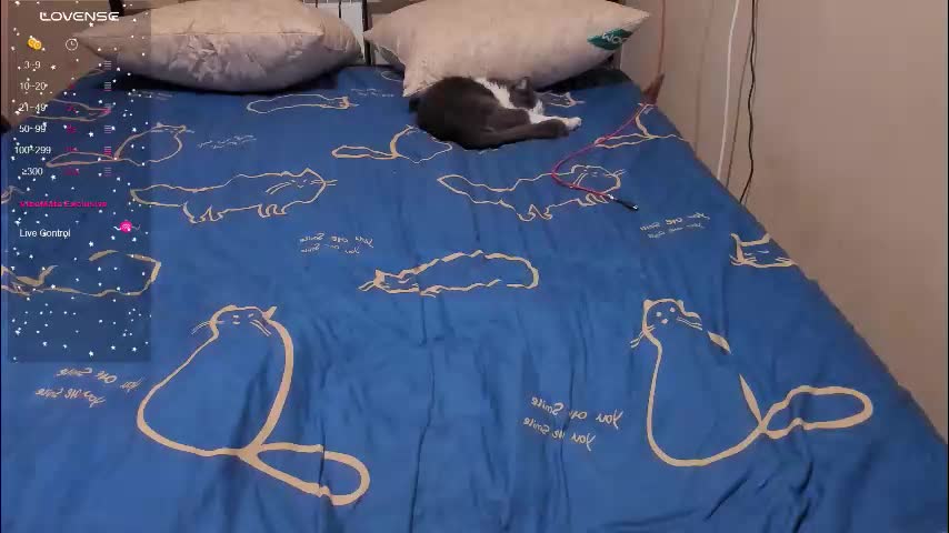 eva_zero Live Sex February 4, 2026