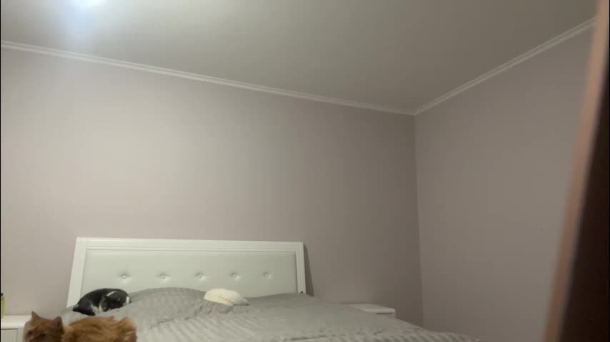 emberfamn Live Sex February 4, 2026