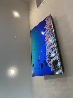 _Ellidi_ Live Sex February 4, 2026