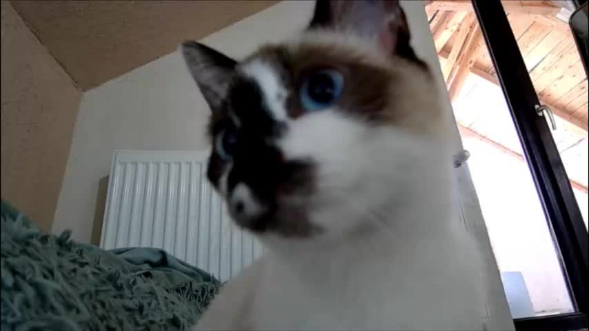 anaworld69 Live Sex February 4, 2026