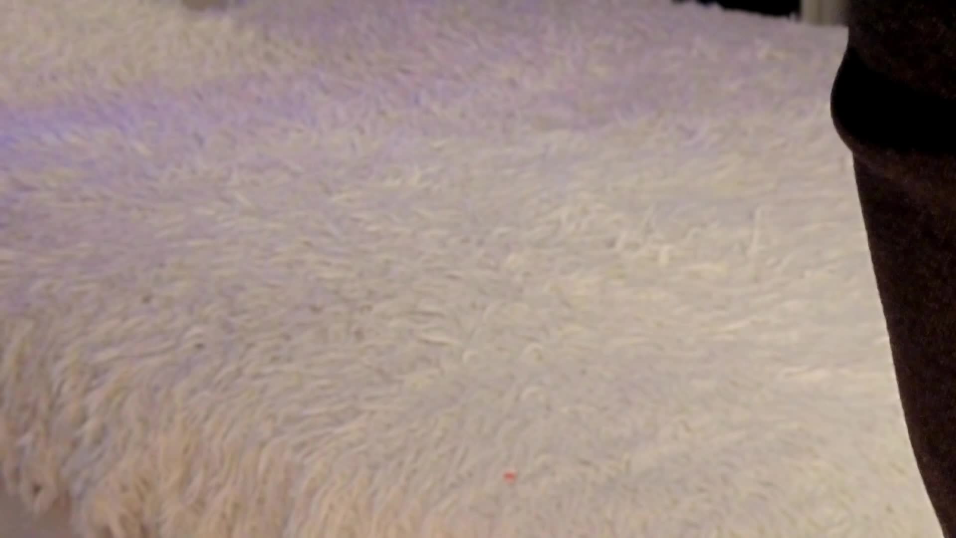 Strawberries_ Live Sex February 5, 2026