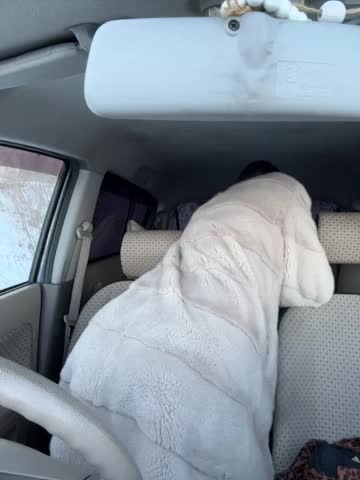 HOT_honey Live Sex February 5, 2026