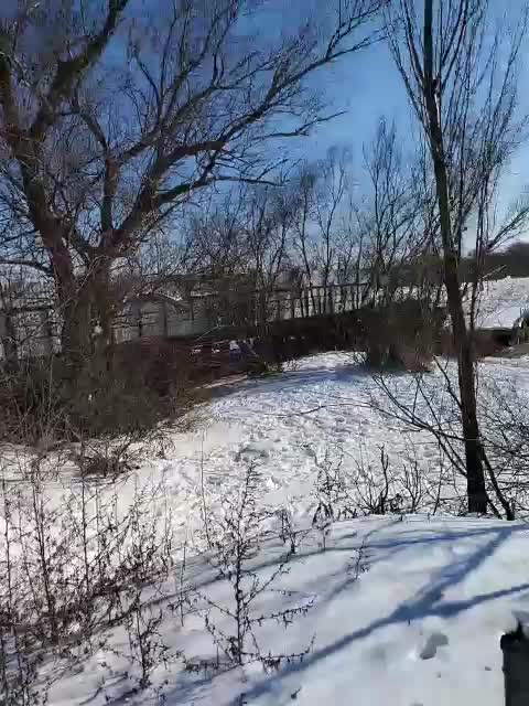 Alex80-201 Live Sex February 5, 2026