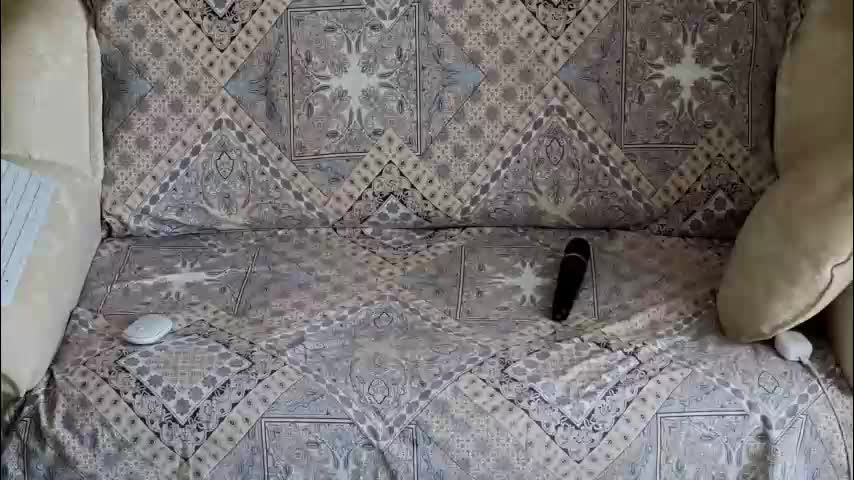 klitores Live Sex February 5, 2026