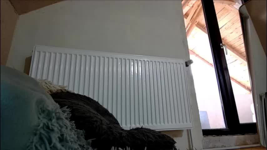 anaworld69 Live Sex February 5, 2026