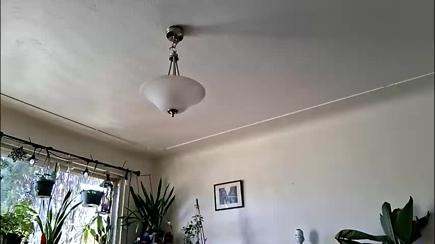 lacybell Live Sex February 6, 2026