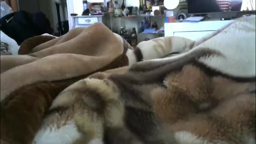 ebonyendebeest Live Sex February 7, 2026