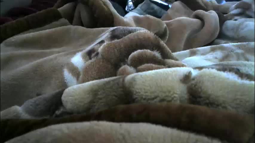 ebonyendebeest Live Sex February 7, 2026