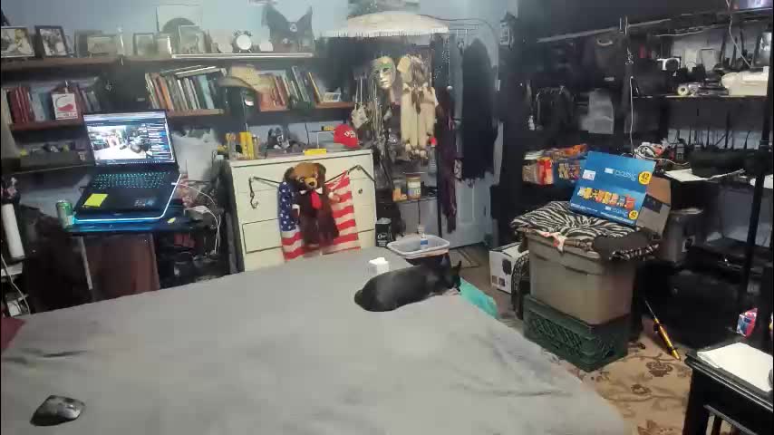 pink_black Live Sex February 8, 2026