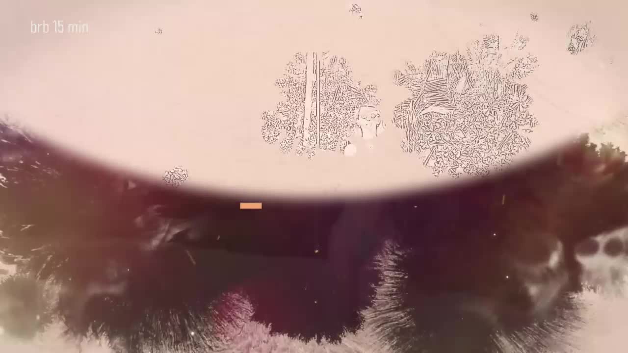 Taanni Live Sex February 8, 2026