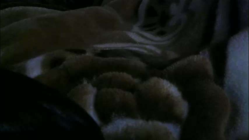 ebonyendebeest Live Sex February 8, 2026