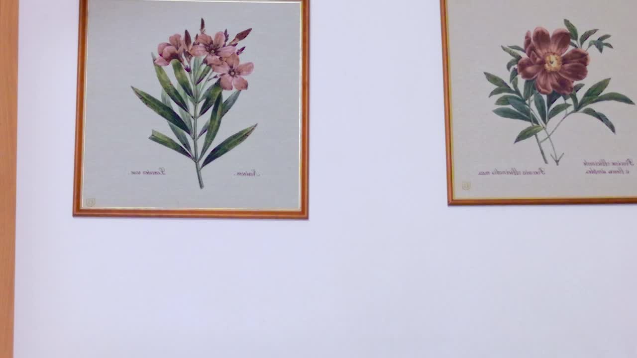 HardCandyBaby Live Sex February 8, 2026