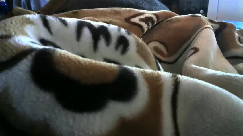 ebonyendebeest Live Sex February 9, 2026