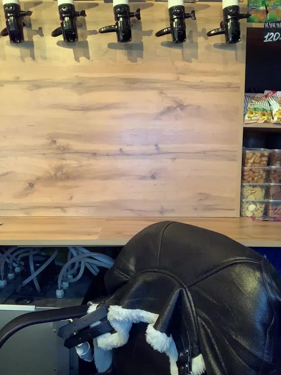 Yummypopka Live Sex February 9, 2026